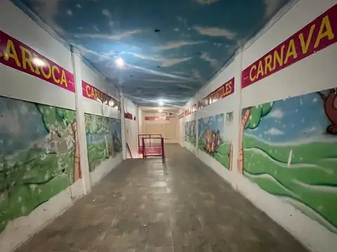 Peatonal Belgrano, San Martin