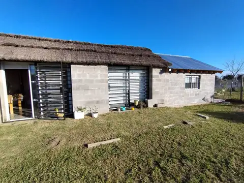 Ara ciudad de Rosario 100