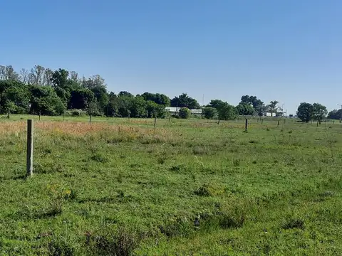 Terreno en Venta 12  mts Fondo