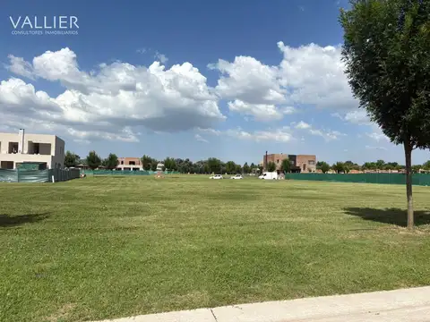 LOS CARDOS PILAR, Manuel Oliden 1600