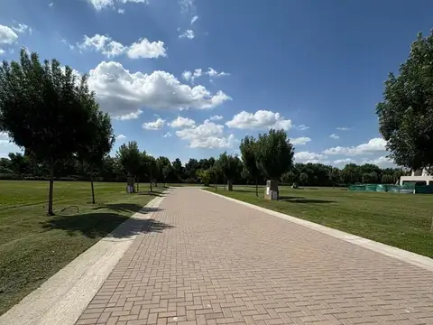 LOS CARDOS PILAR, Manuel Oliden 1600