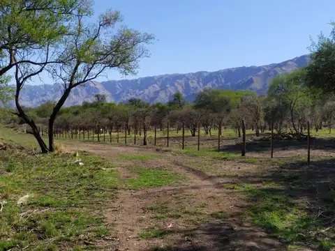 TERRENO LOTEO LOS MOLLES MERLO SAN LUIS FINANCIACION 