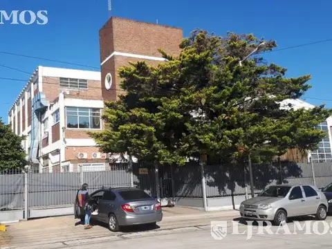 RODRIGUEZ MARTIN  N°4460