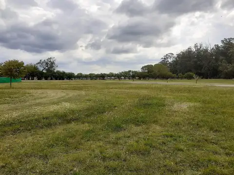 ESTANCIA VILLA MARIA Avenida Pereda s/n, Máximo Paz, SN