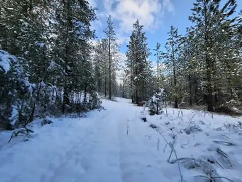 Terreno en Venta de 2500,0 m2