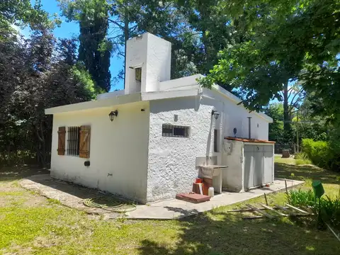 Leónardo Da Vinci 3400