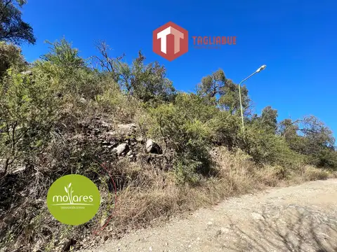 Los Mollares - LOTE 714