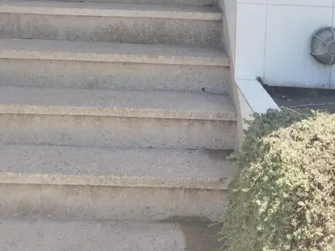 Piedra Buena 1519 , Piso 1