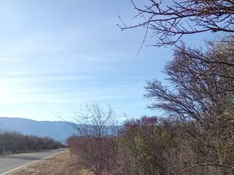 Campo en Venta de 1  ha