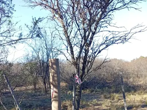HECTÁREA EN LA GUARIDA