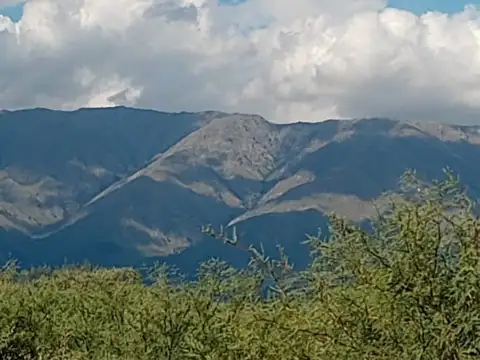 HECTÁREA EN LA GUARIDA