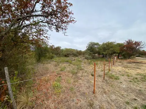 Terreno en Venta 26  mts Fondo
