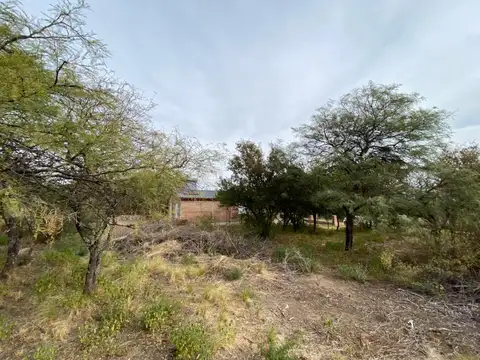 Terreno en Venta 31  mts Frente