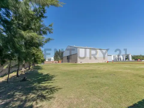 Galpon en Alquiler A Estrenar