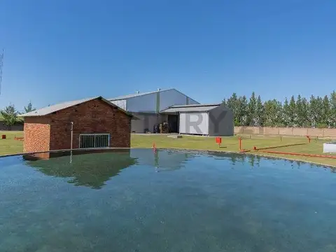 Galpon en Alquiler A Estrenar