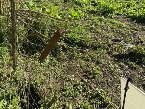 Casa en un gran terreno, con galpón en B. Las Moras