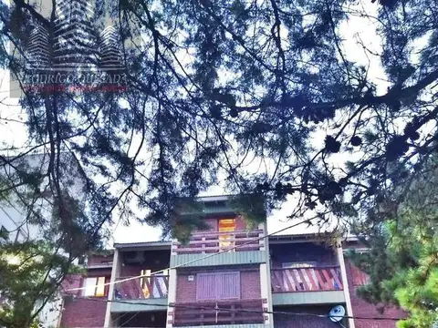 Amplio mono ambiente - Todos los servicios  