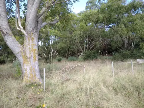 Campo en Venta de 4,50  ha