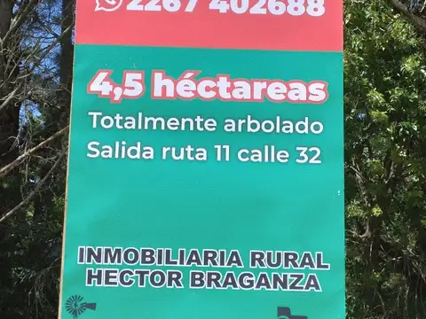 4,5 HECTAREAS TOTALMENTE ARBOLADAS CON SALIDA A CALLE 32 DE VILLA GESELL