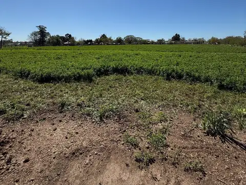 Terreno en Venta de 16676,0 m2