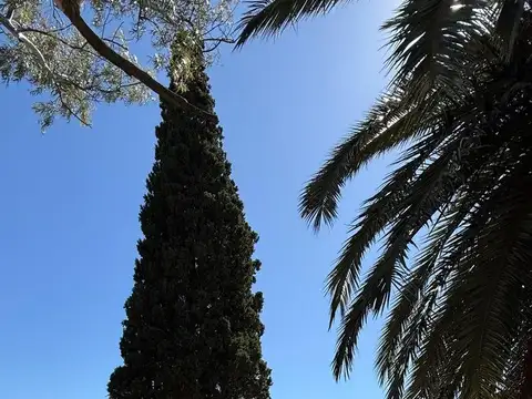 Providencia y Moreno