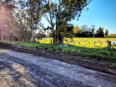 VENTA Lote - Quinta 10.000 m2 (54,80 x 182,40)