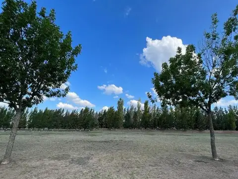 Ruta 24 Lote / N° 0