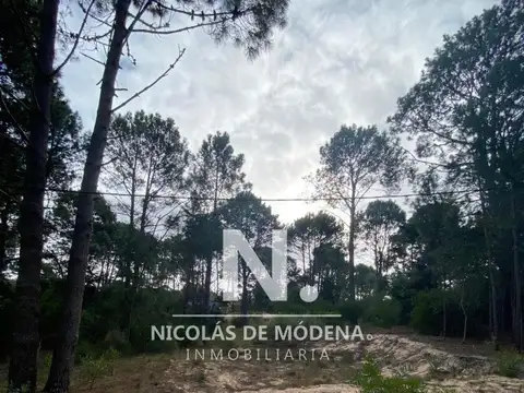 OPORTUNIDAD. TERRENO EN VENTA EN CLUB DEL LAGO, PUNTA BALLENA.