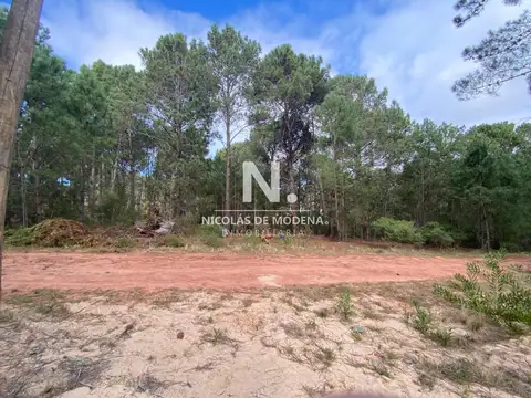 Terreno en Venta en Punta Ballena, USD 97.000