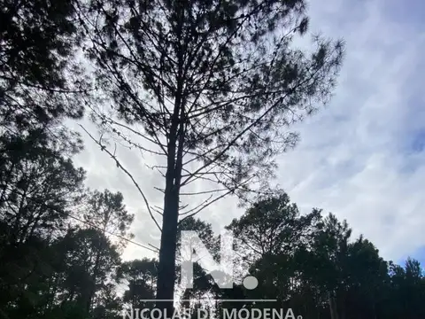 Terreno en Venta de 1471,0 m2