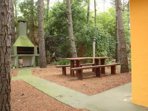 J. Garay y El lucero 100