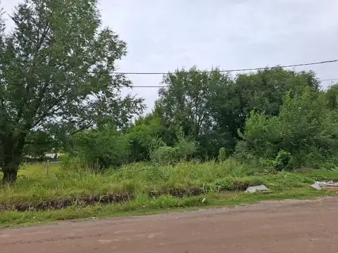 "vendo Terrenos Sobre Ruta- en Siquiman"