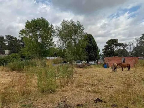 Quinta en Venta en Tandil, USD 160.000