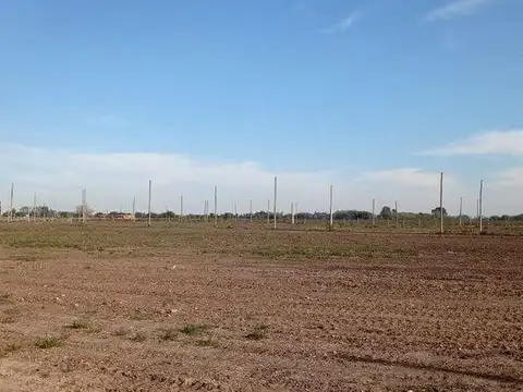 Siempre Verde -  22 y 600