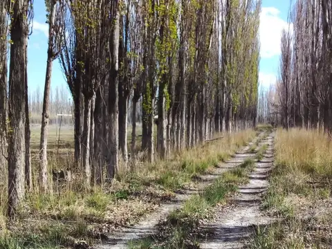 Terreno en Venta de 15325,0 m2