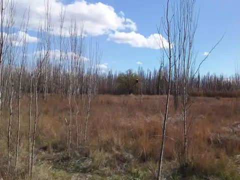 Terreno en Venta en Plottier, USD 180.000