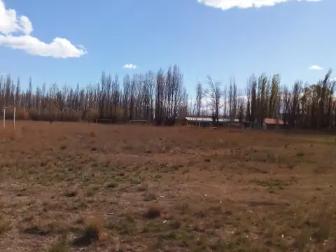 Terreno en Venta en Plottier, USD 180.000