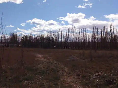 Terreno en  venta zona Parque Industrial Plottier