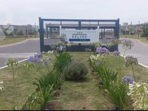 Barrio San Feilpe, Canning Village, El Deslinde 1107