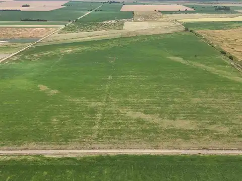 VENTA CAMPO AREQUITO SANTA FE. 89 HAS