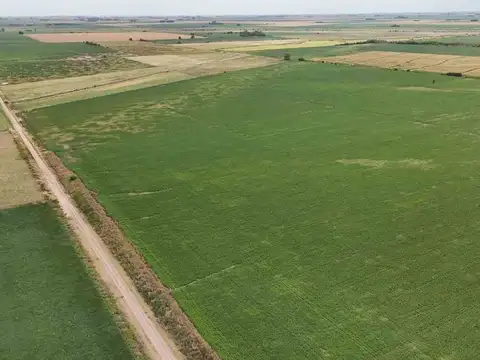 VENTA CAMPO AREQUITO SANTA FE. 89 HAS