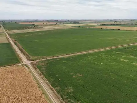 VENTA CAMPO AREQUITO SANTA FE. 89 HAS