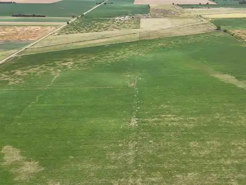 VENTA CAMPO AREQUITO SANTA FE. 89 HAS