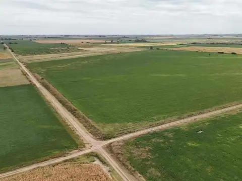 VENTA CAMPO AREQUITO SANTA FE. 89 HAS