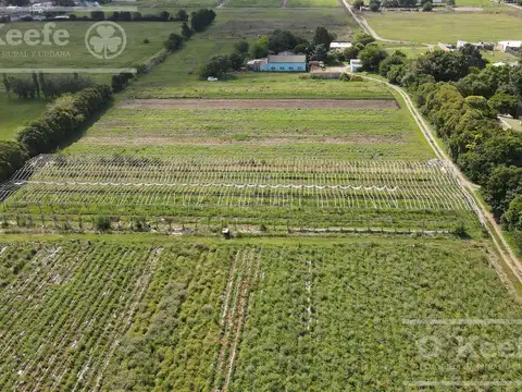 VENTA IDEAL DESARROLLO - 12,5 Hectáreas en Florencio Varela - Expansión Urbana