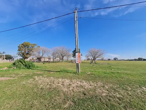 Terrenos O Lotes Venta PavÃ³n