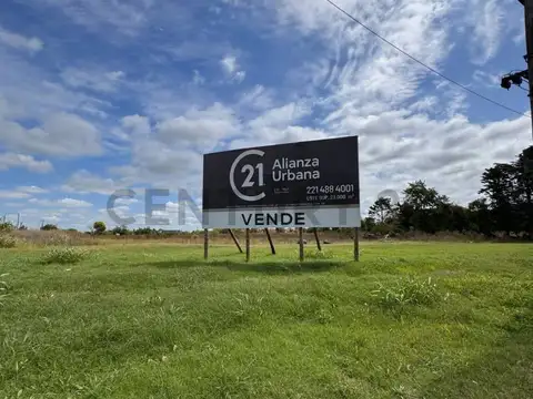 avenida 31 y 520 , Piso 0