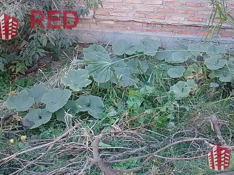 Vende casa en Senillosa