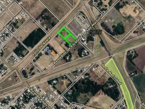 Don Segundo Sombra e/ Remedios de Escalada de San Martin y Félix de Azara