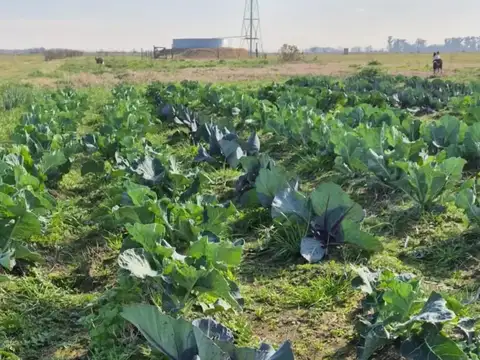 Lote 2000 mt2 en barrio agroecologico y con seguridad